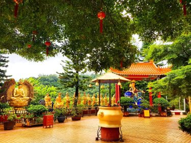 Intense green of tropical plants, intense gold of buddha scalpture, the smell of incense,…