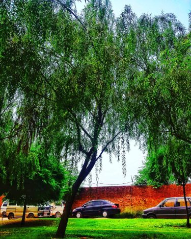 تم نے جانا ہے، مجھے پہچانا نہیں.. میں تو شب فراق ہوں ایک،&hellip;