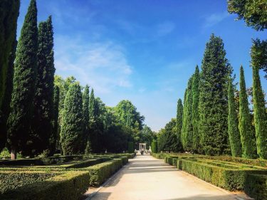 No todo tiene que salir como lo has planeado #Madrid #park #ElCapricho #Spain #travel…
