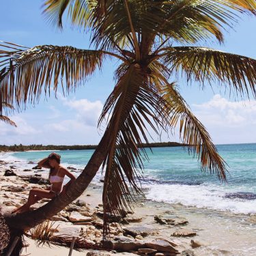 #tbt #palm #paradise #island #holiday #trip #view #polishgirl #instatravel #photo #tropicalisland #tropical #adventure #traveller…
