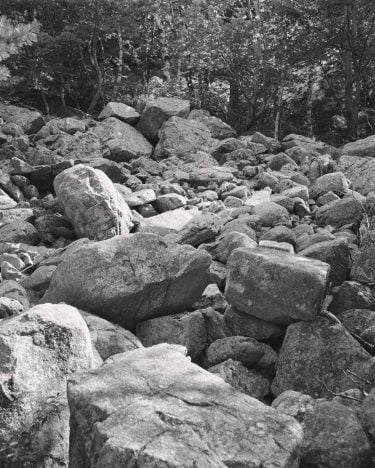 One of my favorite things to do when taking pictures is to try to…