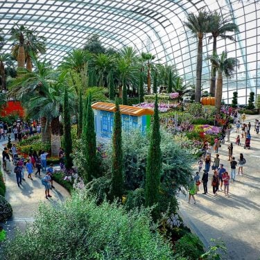Flower Dome #travelto #sourcedadventures #mustdotravels #travelingsnaps #theglobewanderer #livelovetheworld #travel_awesome #straythecourse #nomadnificent #vibetravel #wanderlust #backpackersanctuary…