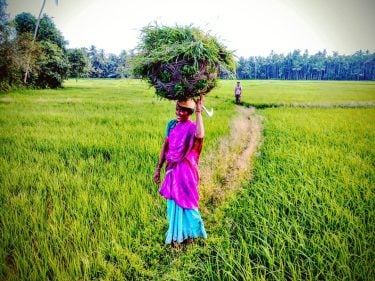 Throwback to some years behind us. To another continent, to the beautiful country India!…