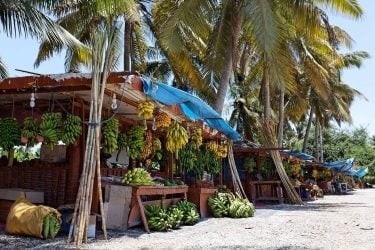 Salalah fruit stalls ????