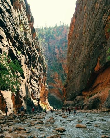Walking up river inside the Narrows of Zion National Park . . . .…
