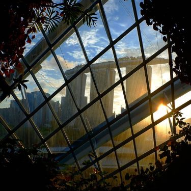 View of the Marina Bay Sands from Cloud Forest #travelto #sourcedadventures #mustdotravels #travelingsnaps #theglobewanderer…