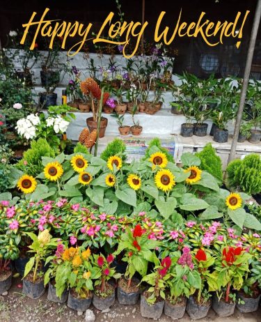 Mood! :) :) :) . . #travelholic #travelers #travelbag #travellers #traveling #travelbug #travelpic #travelstoke&hellip;