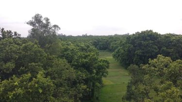 National Park at Gazipur, #Dhaka #Bangladesh #landscapstyles #exklusiveshot #visualsofearth #beautifuldestinations #ilovetravel #amazing #hermanosviajeros #iloveamsterdam…
