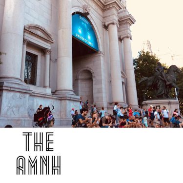 The American Museum of Natural History @amnh #newyorkarea #worldesprittraveler #mytravelmood #iamtb #traveldreamseekers #discoverearth #femmetravel…