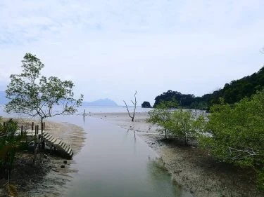 A beautiful Scenery in Bako Sarawak #sarawak #ebonyvacation
