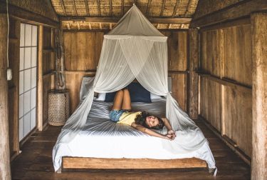 Ideal accommodation for nature lovers? Just to make it clear, the net is not…