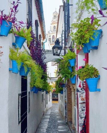 Calleja de las Flores de Córdoba (aunque por la fecha del año, pleno verano,…