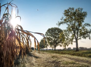 #sunset #travelgram #instatravel #tourist #travelphoto #amazing #arountheworld #worldcaptures #tourism #worldplaces #moment #bnesimppl #photoftheday #circolofotograficopalmarino&hellip;