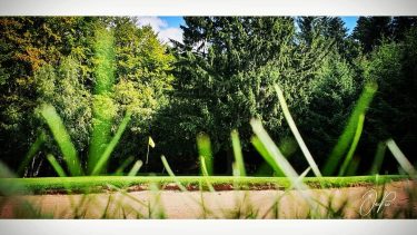 The last day in Kořenec (this year)! Our #hobby, our #holiday, my #homeland!️‍️‍️???????? #lawn…