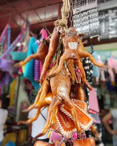 frog purse. :D . . #travelholic #travelers #travelbag #travellers #traveling #travelbug #travelpic #travelstoke #traveldiary…