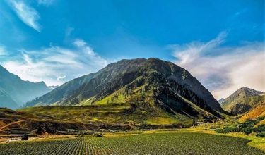 Green Pea fields in Batakundi,Kaghan Valley,Pakistan #landscapstyles #exklusiveshot #visualsofearth #beautifuldestinations #ilovetravel #amazing #hermanosviajeros #iloveamsterdam&hellip;