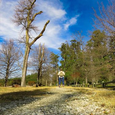“cherish the natural world because you are part of it and you depend on…