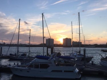Why am I thinking so much of Pompey today? I think I miss my…