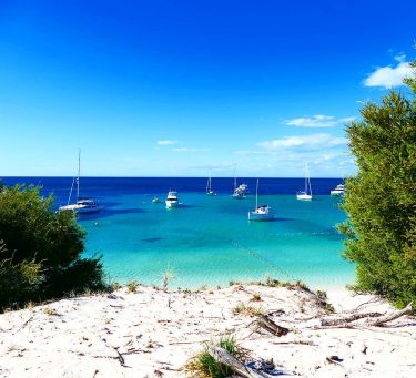 #rottnestisland #rottnest #throwback #australia #westernaustralia #perthtocairns #perth #travelphotography #travelblogger #travel #holiday #beachlife #wonderful_places #bluewater…