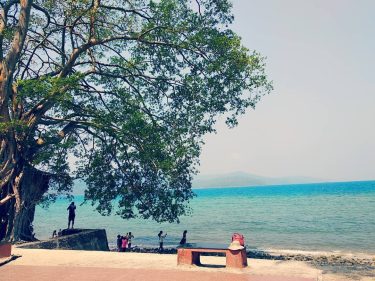 #Andamandiaries️️️ #mobile_photography__ #mobile_photography #phone_photography #mobile__photography___ #mobile_photographyofficial #mobile__photography__ #world_photography_page #gods_beauty_shines #photo #picsart #photographers_of_india #awesome.photographers #awesome.pix&hellip;