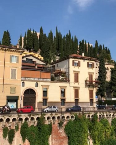 Wonderful view from Ponte Verona ️ #iamtb #travelstagram__ #bnesimppl #inviaggioconilcappello #instatravel #travelmemories #lifeofexploring #travelingram…