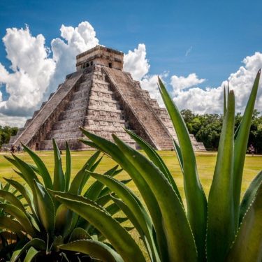Agave Plants and Tropical Forest at Mayan Temple of Chichen Itza Mexico #landscapstyles #exklusiveshot…