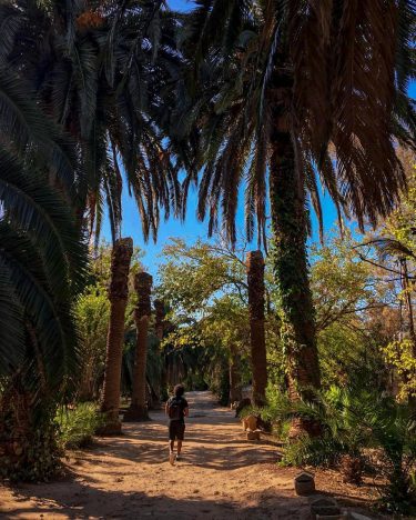 #tunis #carthage #tunisia #africa #palms #travel #travelboy #wandertunisia #photographer #photooftheday #photo #wander #photography #simplytunisia…