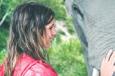 La complicidad entre persona y animal es única #wild #animal #elephant #girlaroundworld #thailand #acolorstory…