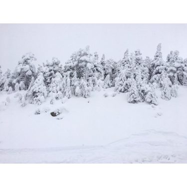 ???????????????????? for a snowy winter like this one! Alllll the exploring and scaring the…