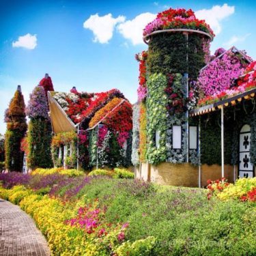 Dubai Garden #landscapstyles #exklusiveshot #visualsofearth #beautifuldestinations #ilovetravel #amazing #hermanosviajeros #iloveamsterdam #igersnetherlands #winterlove #visitamsterdam #bnesimppl&hellip;