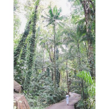 The first thing to greet you as you enter the #gardens is the sight…