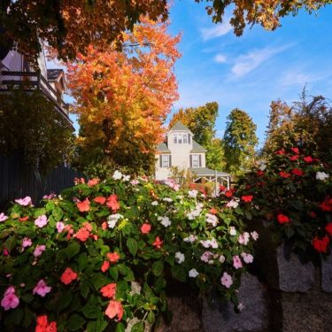 Vintage Wooden Houses and Colorful Gardens in Maine #landscapstyles #exklusiveshot #visualsofearth #beautifuldestinations #ilovetravel #amazing…