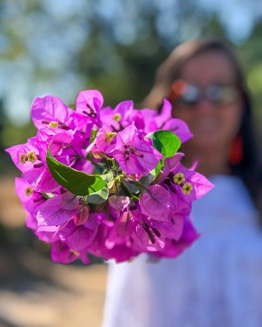 Last day of Summer #summer #flowers #flores #happygirl #womantraveler #ferias #mafra #tapadademafra #portugal #nature&hellip;