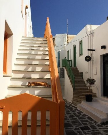 Kitty needs some downtime, a long one – Settembre 2016 #cyclades_islands #paros #noussa #greece…