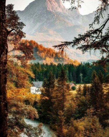 Almsee, Austria #landscapstyles #exklusiveshot #visualsofearth #beautifuldestinations #ilovetravel #amazing #hermanosviajeros #iloveamsterdam #igersnetherlands #winterlove #visitamsterdam #bnesimppl…