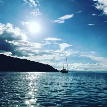 S A P Z U R R O – C O L O M&hellip;