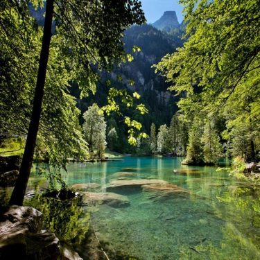 Green Summer Forest and Alpine Lake in the European Alps #landscapstyles #exklusiveshot #visualsofearth #beautifuldestinations…