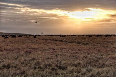 A final sunrise landscape on the final day. A tribute to a fantastic trip…
