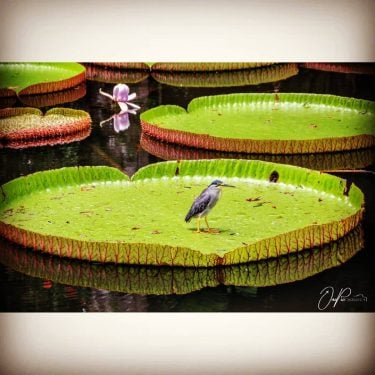 Ein wunderschönes Land, eine wunderschöne Insel. Dort muss ich unbedingt noch mal hin. |…
