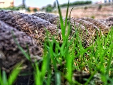 One of the random shots i take