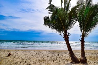 #iamtb #kohkoodisland #beach #palmtrees #peace