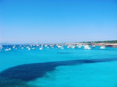 Posidonia & turquoise water, the perfect match #formentera #ibiza • • • • •…