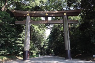 Torii leading to the Meiji Shrine complex, located in Shibuya, Tokyo. #torii #meijishrine #meijijingu&hellip;