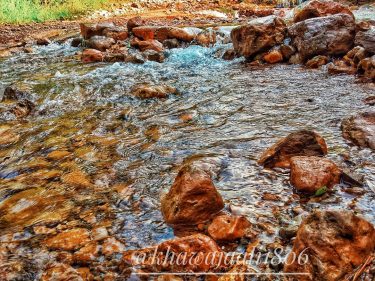 میں نے اپنی خشک آنکھوں سے لہو چھلکا دیا، ایک سمندر کہہ رہا…