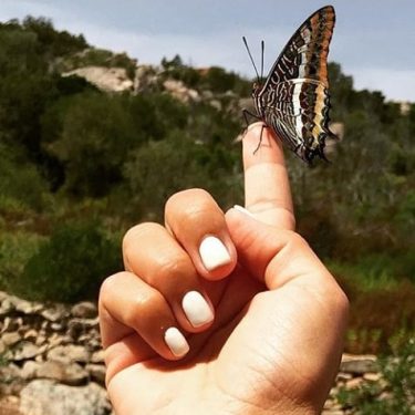 Vole vole ???? . . . . . . #butterfly #confiance #bonheur #holidays #travelers…
