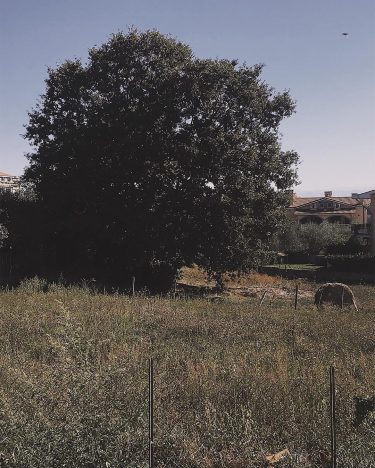 “Una delle cose strane della vita di questo mondo è che solo qualche volta&hellip;