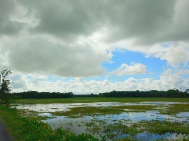 Awesome view of nature #landscapstyles #exklusiveshot #visualsofearth #beautifuldestinations #ilovetravel #amazing #hermanosviajeros #iloveamsterdam #igersnetherlands #winterlove&hellip;