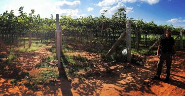 Amidst the vineyards of an awesome experience!! #travel #traveller #travelgram #travelphotography #wanderer #wanderlust #nomad…