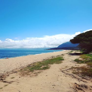 another beach ‍️ hint: #beach #endlessbeach #vacation #pod #holiday #earth #travel #TravelRepost #travelthroughtheworld #photography&hellip;