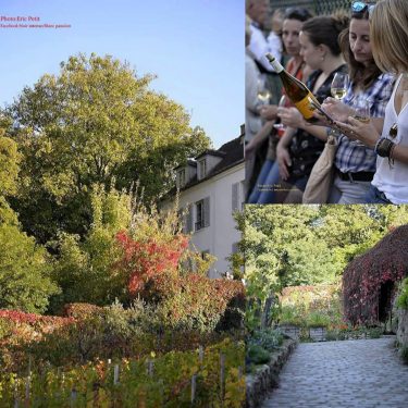 La butte Montmartre !!!!! Photo :Eric Petit Facebook :Eric Petit (Photographe ) Instagram :@&hellip;